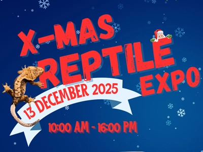The Xmas Reptile Expo